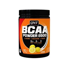 Аминокислота BCAA Powder 8500 350 г апельсин