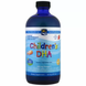 Рыбий жир для детей от 1 до 6 дет, Children's DHA, Nordic Naturals, клубника, жидкий, 530 мг, 473 мл: изображение – 1