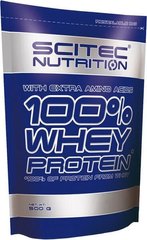 Протеин 100% Whey Protein 500 г Ваниль