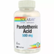 Пантотеновая кислота, Pantothenic Acid, Solaray, 500 мг, 250 вегетарианских капсул: изображение – 1