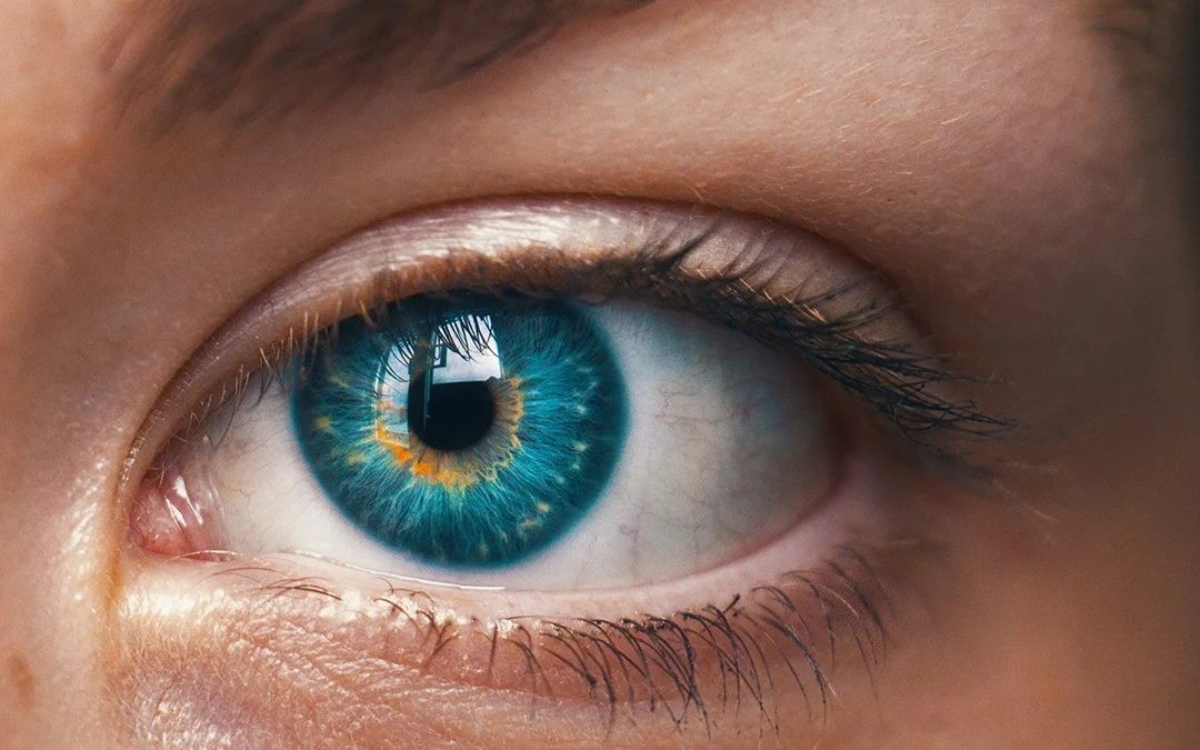 Офтальмологи впевнені, що Омега-3 є обов'язковим пунктом у комплексному лікуванні таких захворювань очей, як синдром сухого ока, блефарит, офтальморозацеа, синдром Шегрена, синдром Фелті, кератит, катаракта, глаукома | Блог Fitness Factor