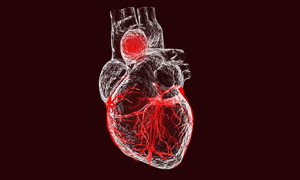 Селен усуває запальні процеси серцево-судинної системи, що призводять до різних хвороб | Блог Fitness Factor 